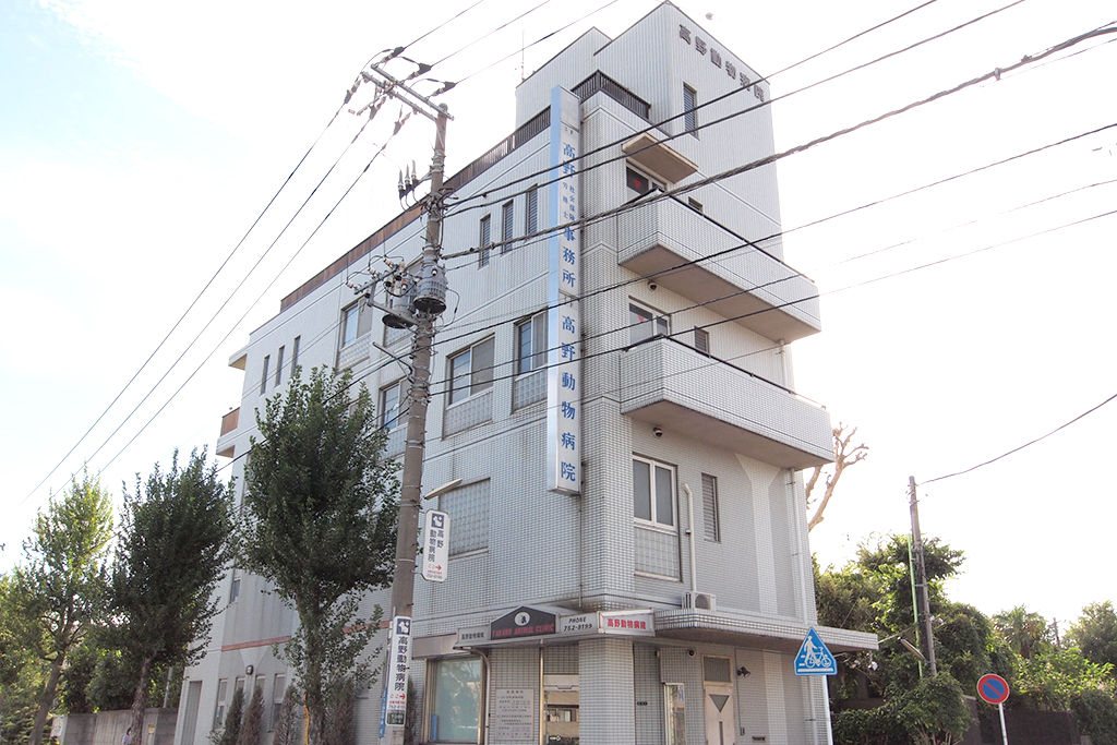 神奈川県川崎市・高野動物病院